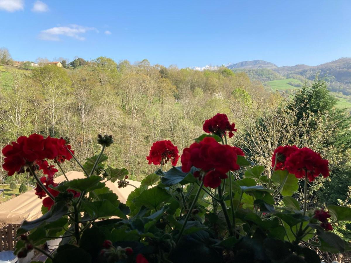 Casa Elena Cangas De Onis Con Wifi Y Parking Gratuito Εξωτερικό φωτογραφία