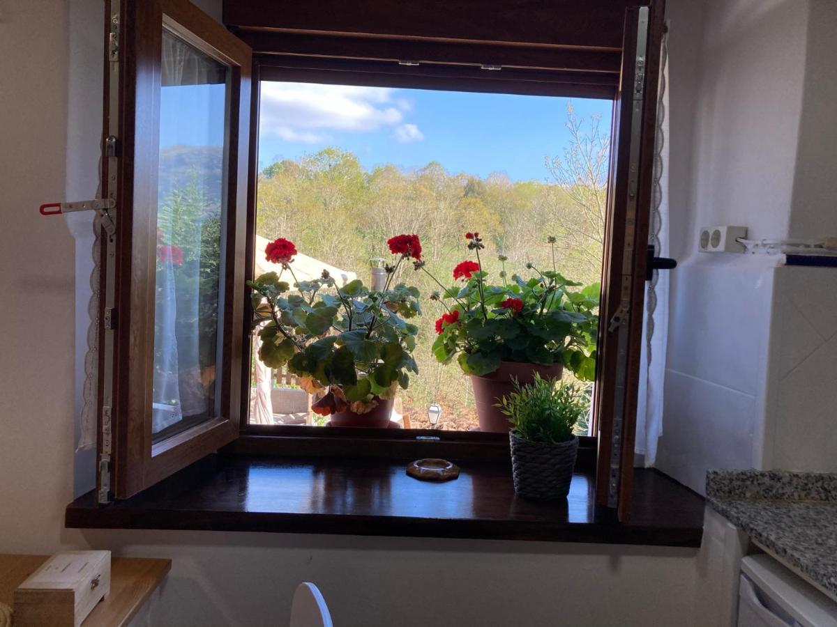 Casa Elena Cangas De Onis Con Wifi Y Parking Gratuito Εξωτερικό φωτογραφία