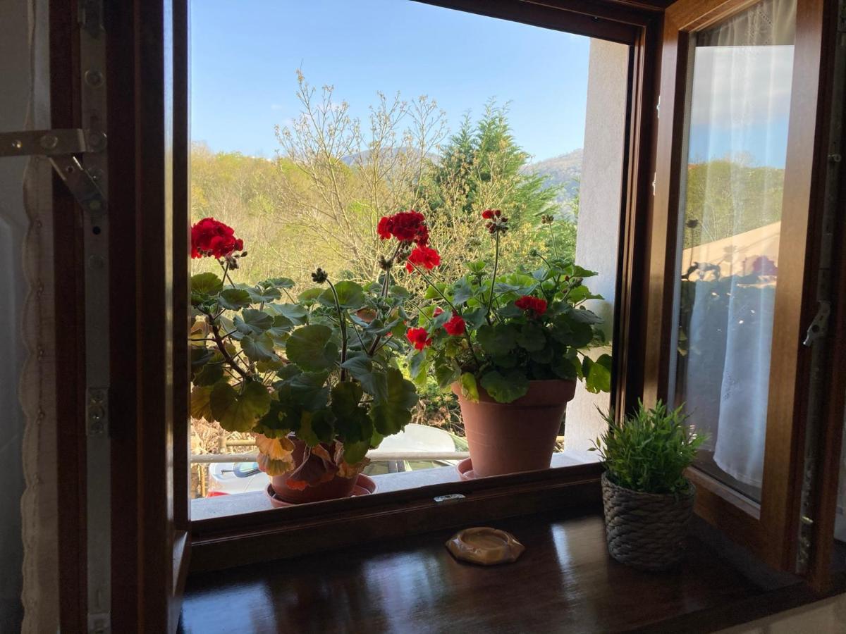 Casa Elena Cangas De Onis Con Wifi Y Parking Gratuito Εξωτερικό φωτογραφία