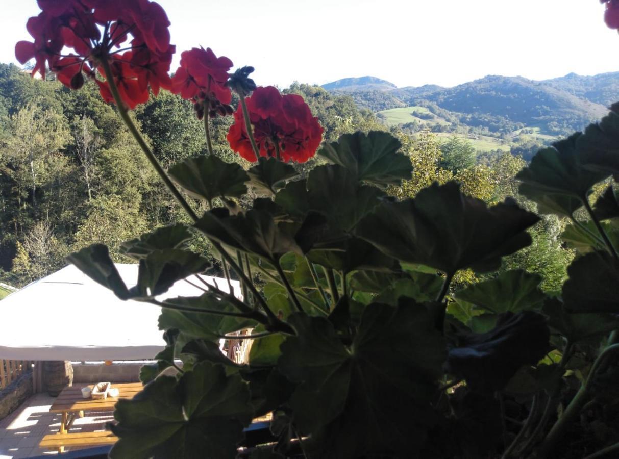 Casa Elena Cangas De Onis Con Wifi Y Parking Gratuito Εξωτερικό φωτογραφία